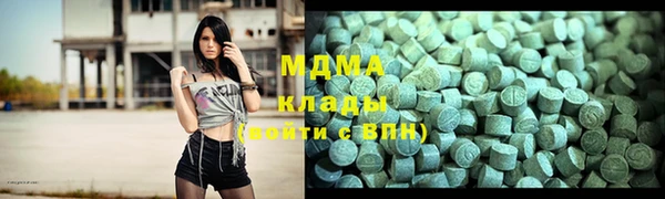 шишки Гусев