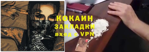 дмт Дмитриев
