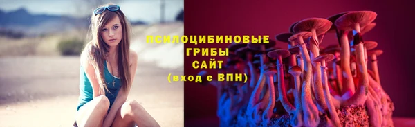 дмт Дмитриев