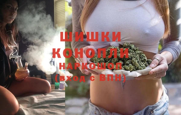 дмт Дмитриев